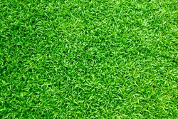 Artificial Grass Installation