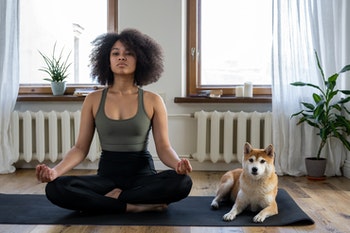 Wellness Services